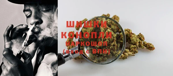 ГАЛЛЮЦИНОГЕННЫЕ ГРИБЫ Инта