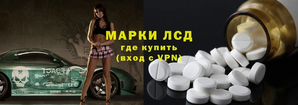 ГАЛЛЮЦИНОГЕННЫЕ ГРИБЫ Инта